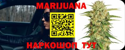 Альфа ПВП Дубна