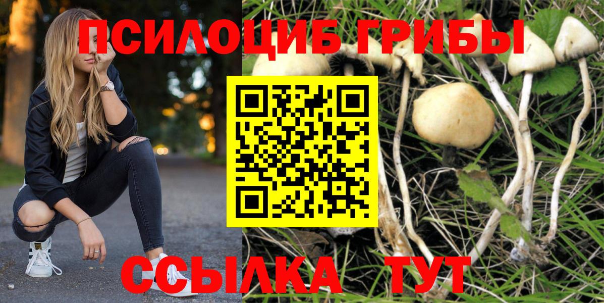 Галлюциногенные грибы Magic Shrooms  Вход с VPN  Киреевск 